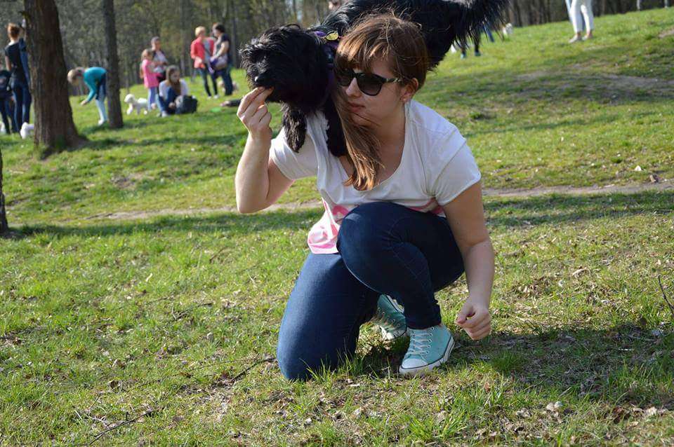 pies Shaggy i Paulina