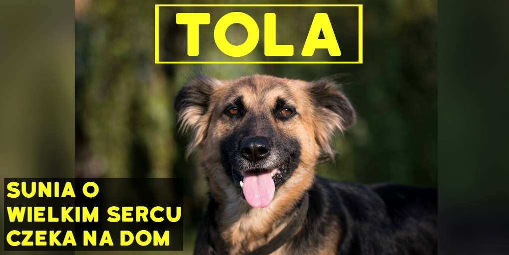 suczka Tola