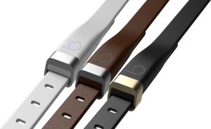 beagard activity collar