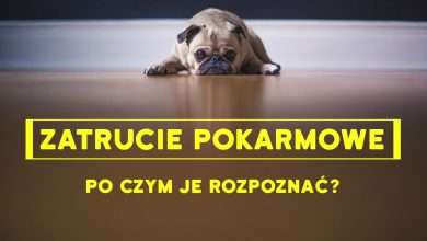 zatrucia