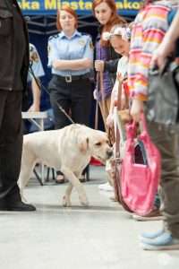 pies służby mundurowe