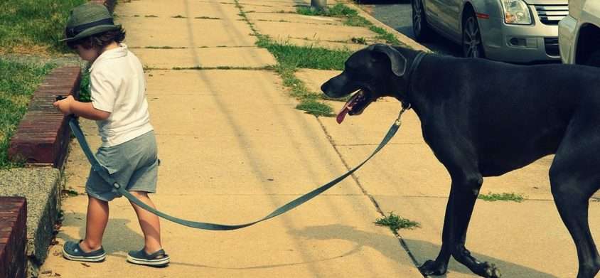 spacer psa i dziecka