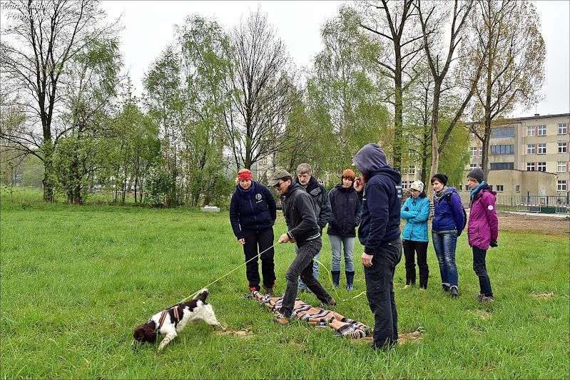 krakowska grupa tropiąca
