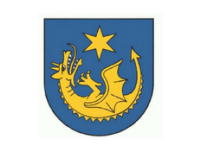 Starosta Strzyżowski